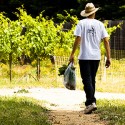 Lavoratore in una vigna