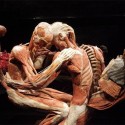 Body Worlds