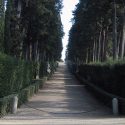 Viale dei cipressi