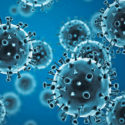 Il virus dell'influenza