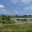 Nuova cassa di espansione Ponte Attigliano (foto Carlo Scoccianti - WWF)