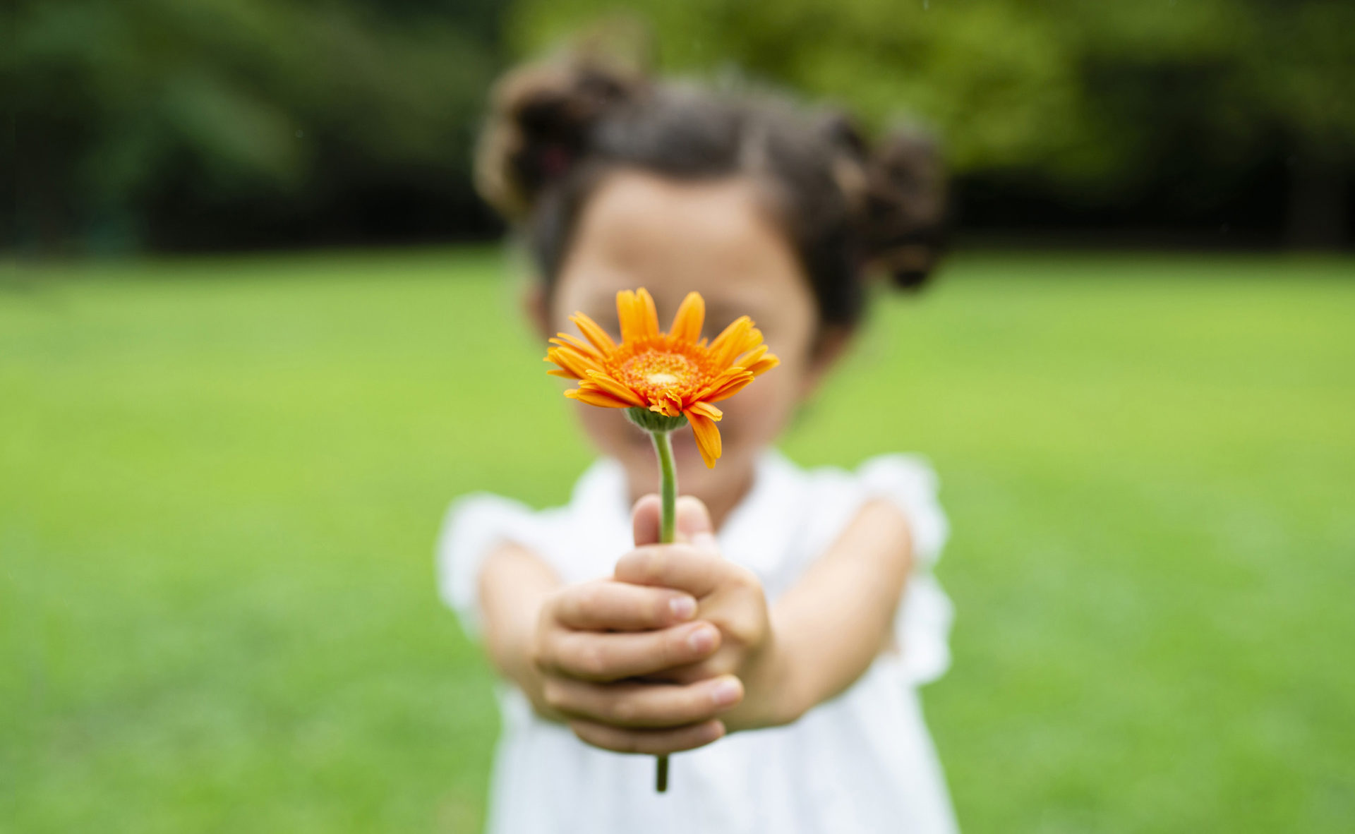 La Primavera Che Non C E Paese Sera