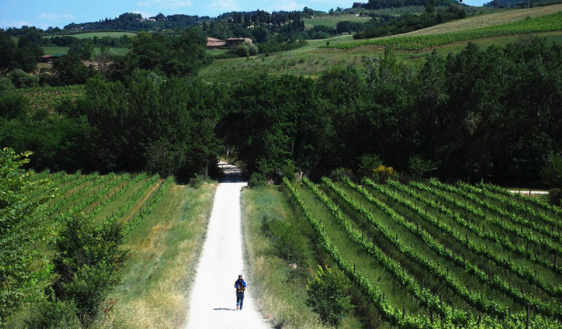 Valdelsa Francigena Castelfiorentino