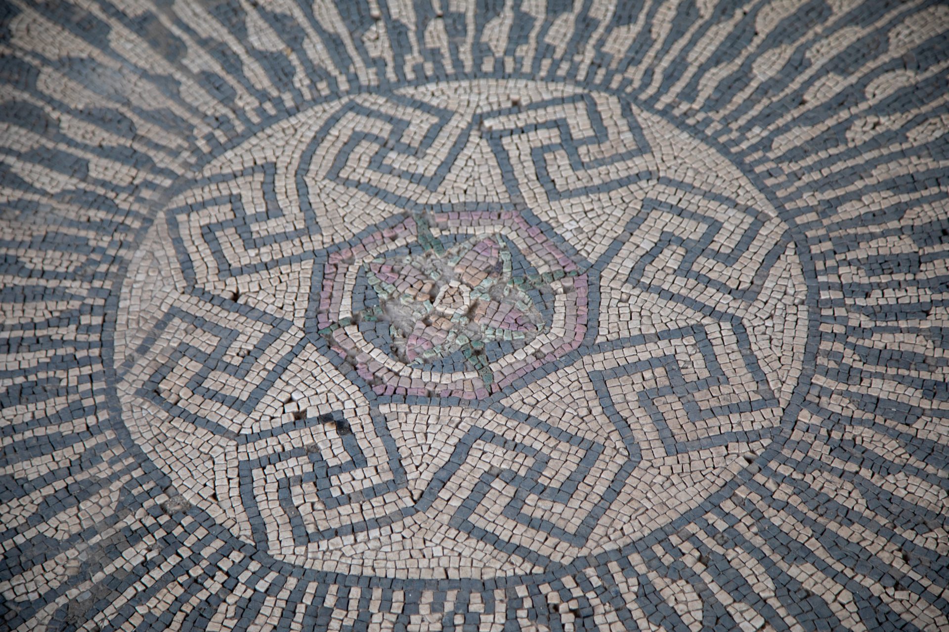 dettaglio mosaico di villa volusii