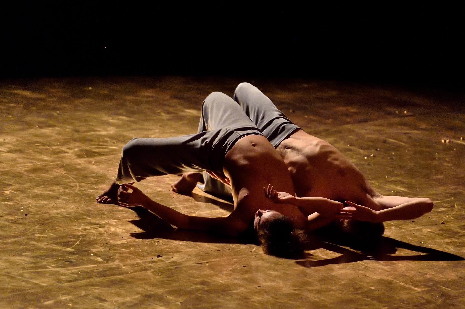 3. compagnia virgilio sieni le tue labbra sul cantico ph. filippo manzini