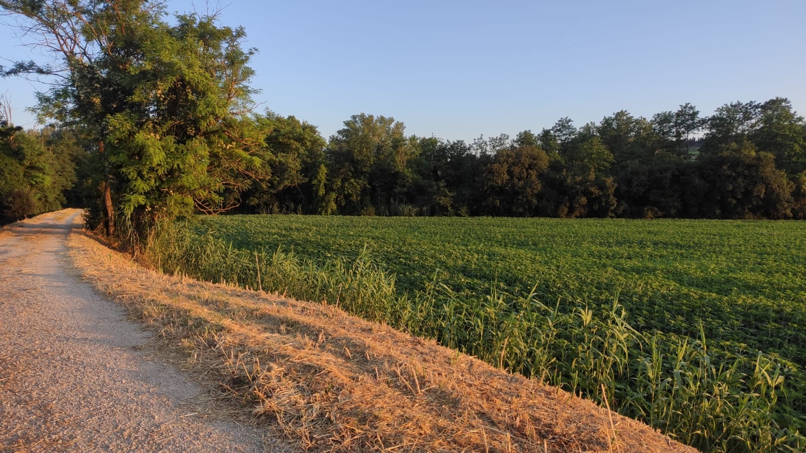 paesaggio lungo la passeggiata sul torente pesa