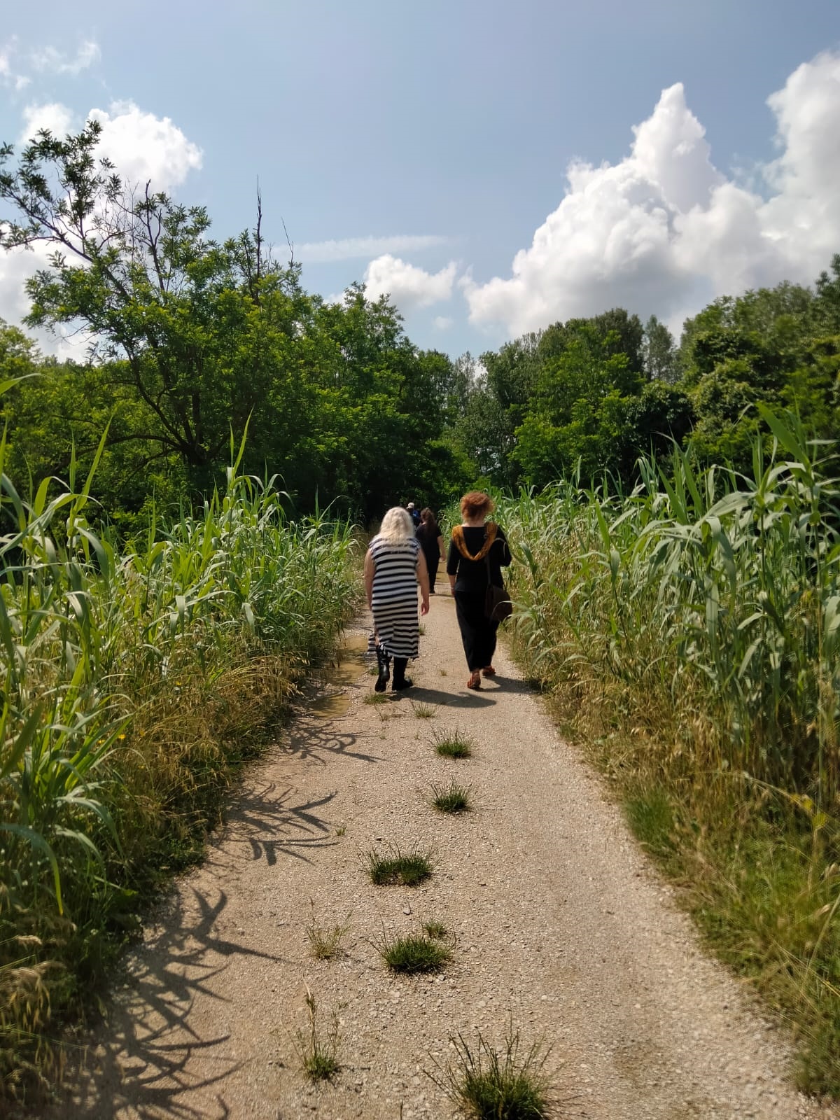 passeggiata lungo la pesa