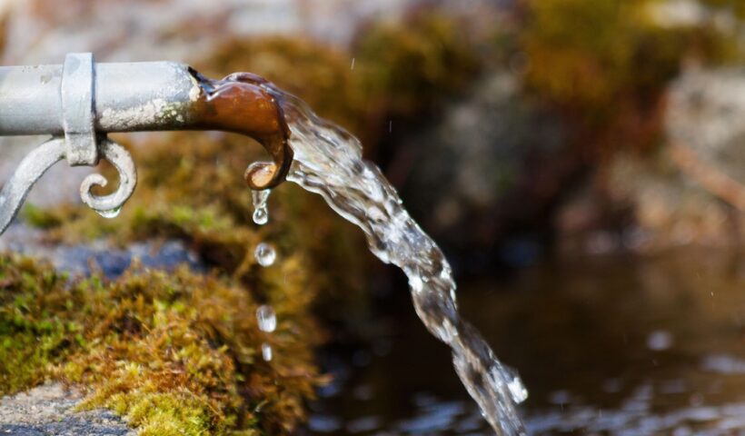 tree water nature branch winter liquid 879348 pxhere.com